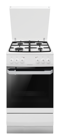 Газоэлектрическая плита Hansa FCMW 58077