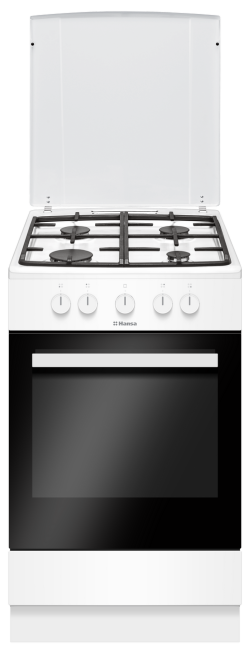 Газоэлектрическая плита Hansa FCMW 54023
