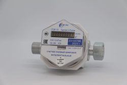 Счетчик газовый СГЦИ-4-20/М (Dn20, ГГ)